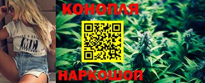 гашик Ливны
