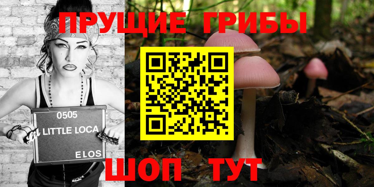 Псилоцибиновые грибы Psilocybine cubensis Беслан