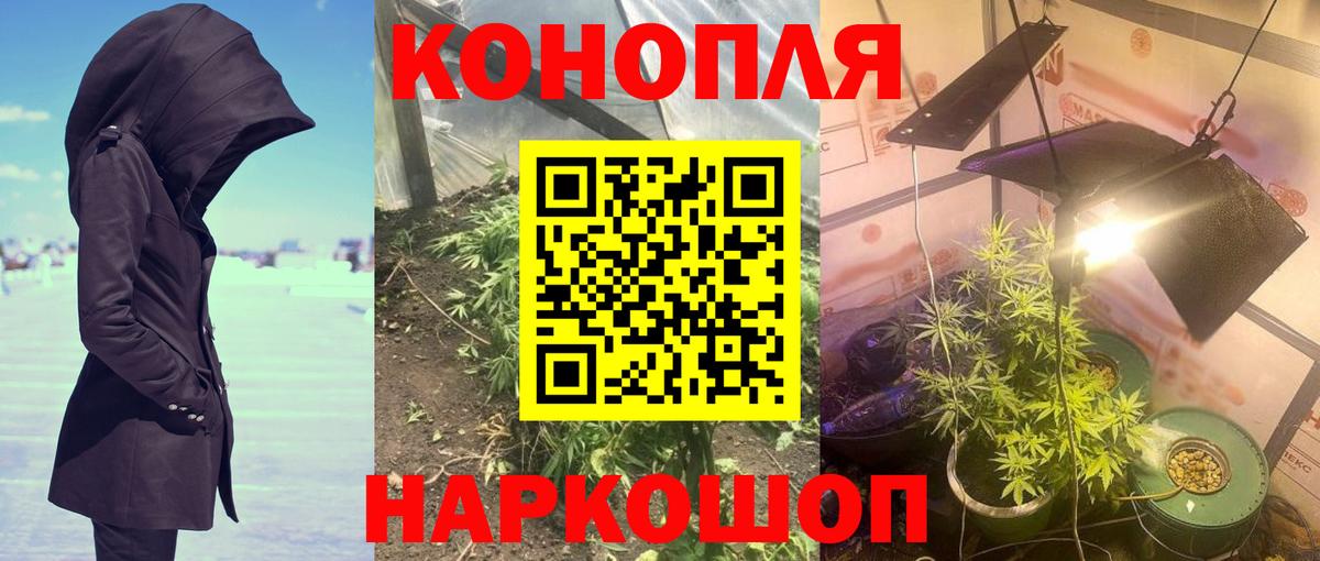 Марихуана планчик  Вход с VPN  Беслан  МАРИХУАНА Amnesia  Канабис план 